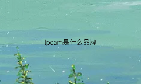 lpcam是什么品牌(lp是什么牌子)