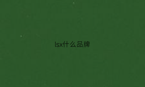 lsx什么品牌(ls是啥品牌)