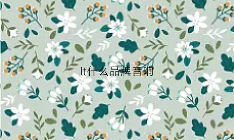 lt什么品牌音响(lto音响)