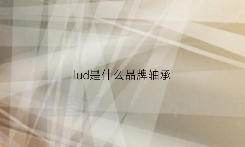 lud是什么品牌轴承