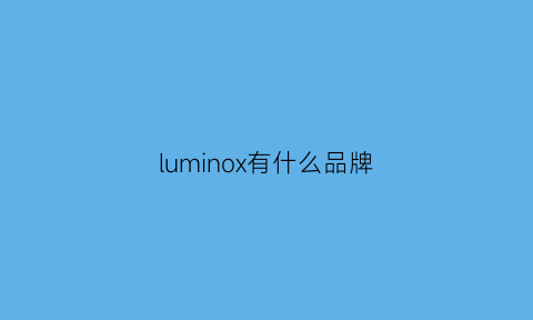 luminox有什么品牌(luminox经典款)