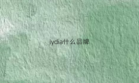 lydia什么品牌(lyds什么品牌)