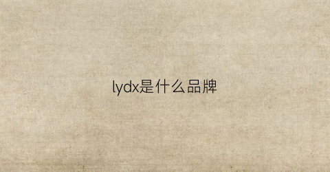 lydx是什么品牌(lydd是什么牌子)