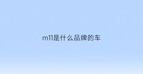 m11是什么品牌的车(m1m1是什么车)