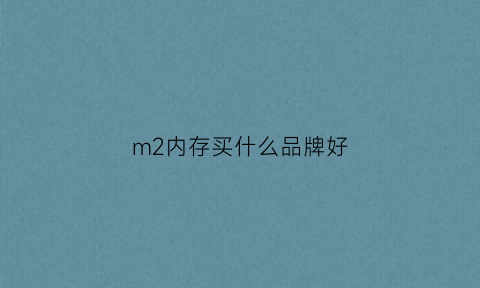 m2内存买什么品牌好