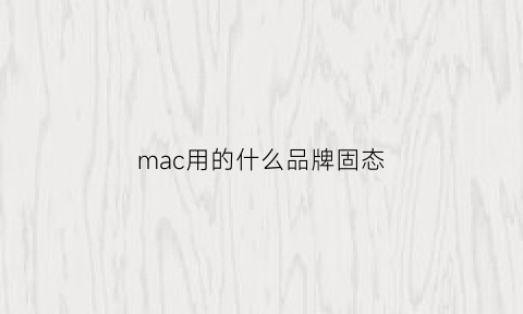 mac用的什么品牌固态