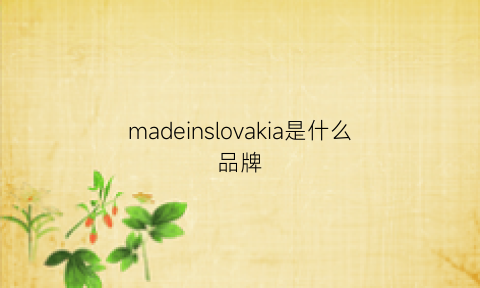 madeinslovakia是什么品牌