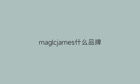 maglcjames什么品牌(maquillage是什么牌子)