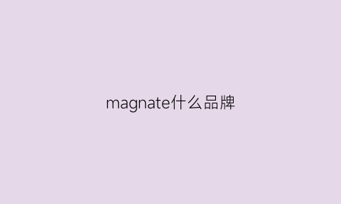 magnate什么品牌(madeinten什么牌子)