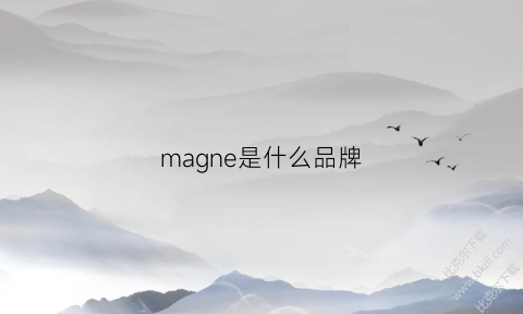 magne是什么品牌(mae是什么牌子)