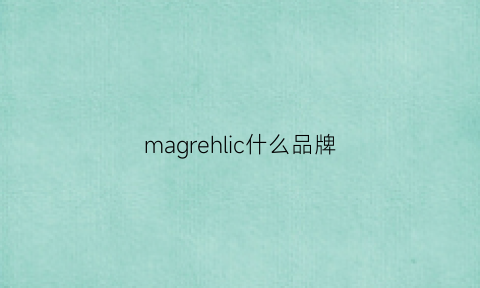 magrehlic什么品牌(magnehelic什么牌子)