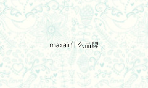 maxair什么品牌(max是哪个品牌)
