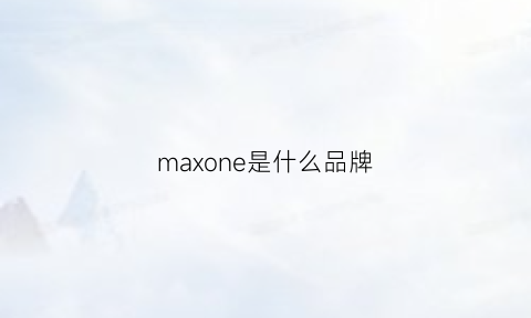 maxone是什么品牌