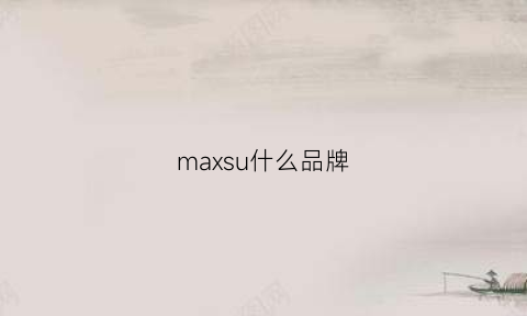 maxsu什么品牌(max什么牌子)