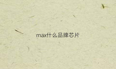 max什么品牌芯片