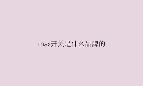 max开关是什么品牌的