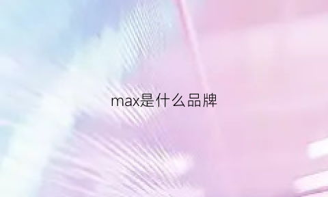 max是什么品牌