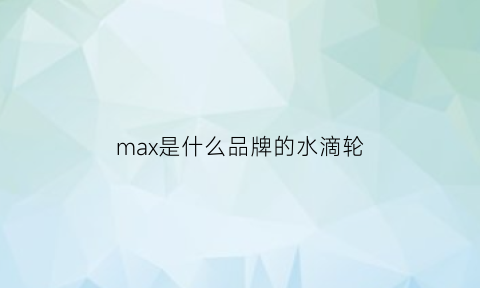 max是什么品牌的水滴轮