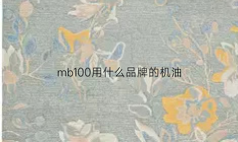 mb100用什么品牌的机油(mb100车怎么样)