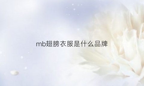 mb翅膀衣服是什么品牌