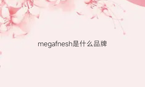 megafnesh是什么品牌(mega是什么牌子)