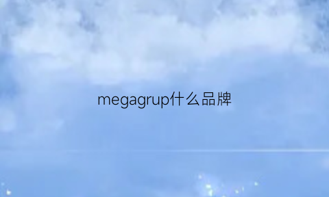 megagrup什么品牌(megajoule是什么牌子)