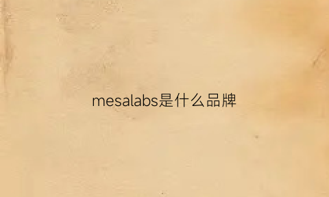mesalabs是什么品牌(mesauda什么牌子)