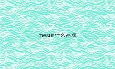 mesus什么品牌(meis是什么牌子)