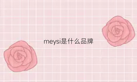 meysi是什么品牌(meysi是什么牌子)