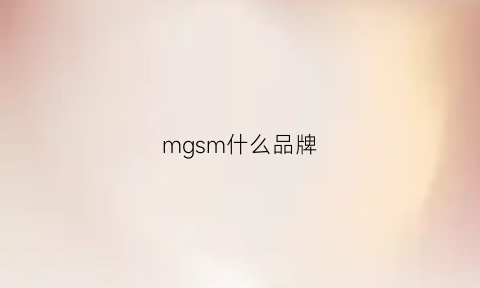 mgsm什么品牌(mgn是什么品牌)