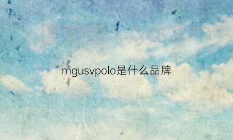 mgusvpolo是什么品牌