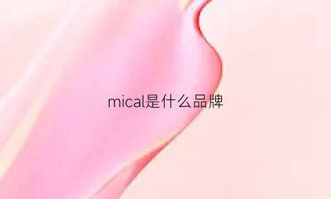 mical是什么品牌(micn是什么品牌)