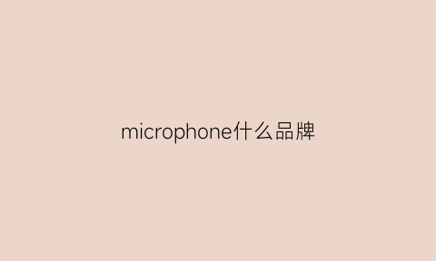 microphone什么品牌(microsd品牌)