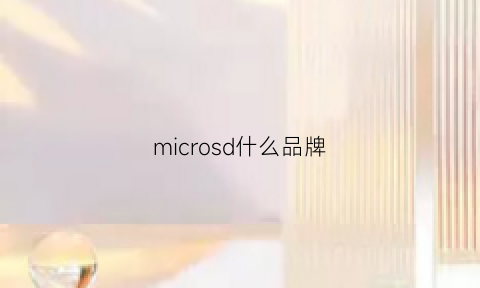 microsd什么品牌