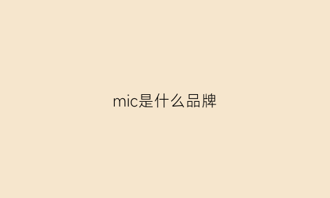 mic是什么品牌(mici是什么牌子)