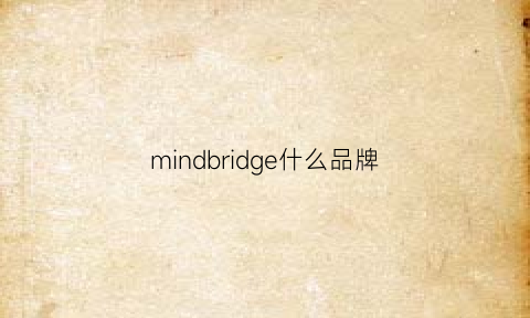 mindbridge什么品牌