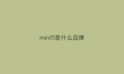 mini11是什么品牌(mini是哪国的品牌)