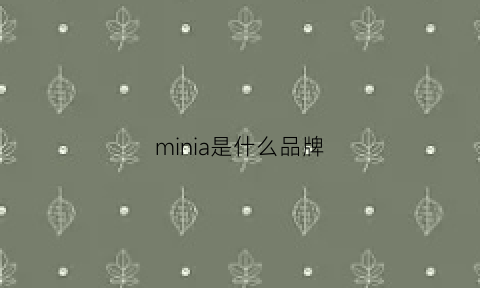 minia是什么品牌(minimarcie是什么品牌)