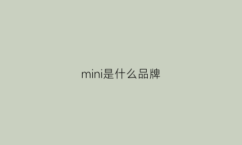 mini是什么品牌(hysmini是什么品牌)