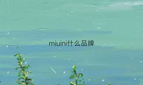 miuini什么品牌(miui什么意思)