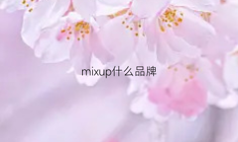 mixup什么品牌(mixi是什么品牌)