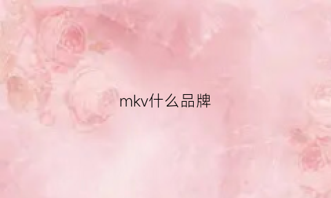 mkv什么品牌(mkv是什么品牌包)