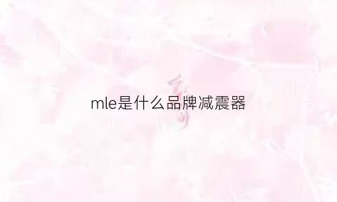 mle是什么品牌减震器(mbm减震器怎么样)