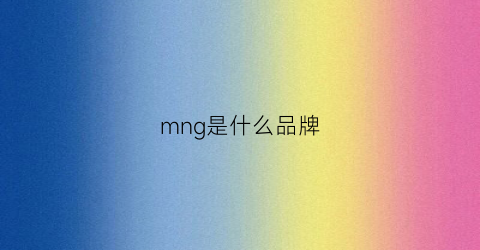 mng是什么品牌(mng是什么品牌包包)