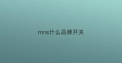 mns什么品牌开关(mem是什么开关)