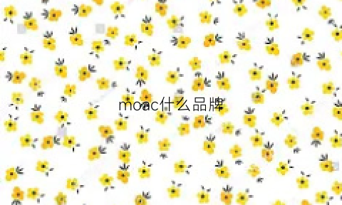 moac什么品牌(moc是什么牌子)