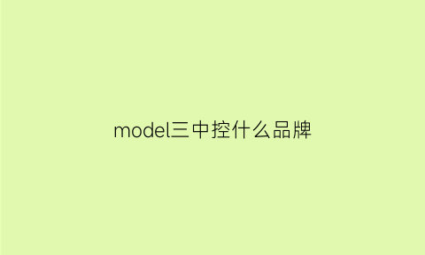 model三中控什么品牌(model3中控锁按键在哪)