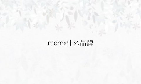 momx什么品牌(mom是什么品牌)