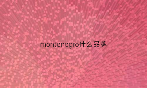 montenegro什么品牌(montegiappa什么牌子)