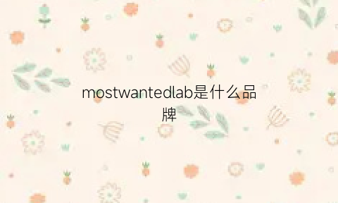 mostwantedlab是什么品牌